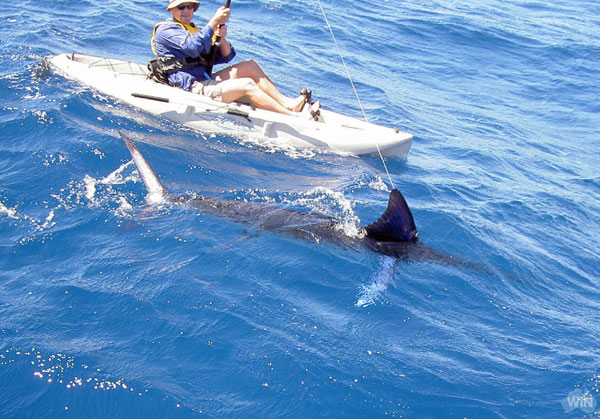 Diverse :) - untitled.png